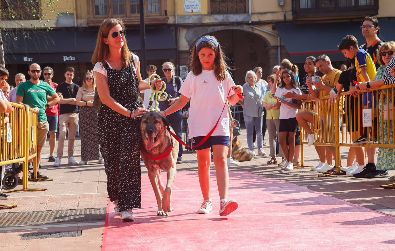 El evento solidario, celebrado en la plaza Baldomero Iglesias de Torrelavega, ha convocado a decenas de personas durante las dos horas de evento.