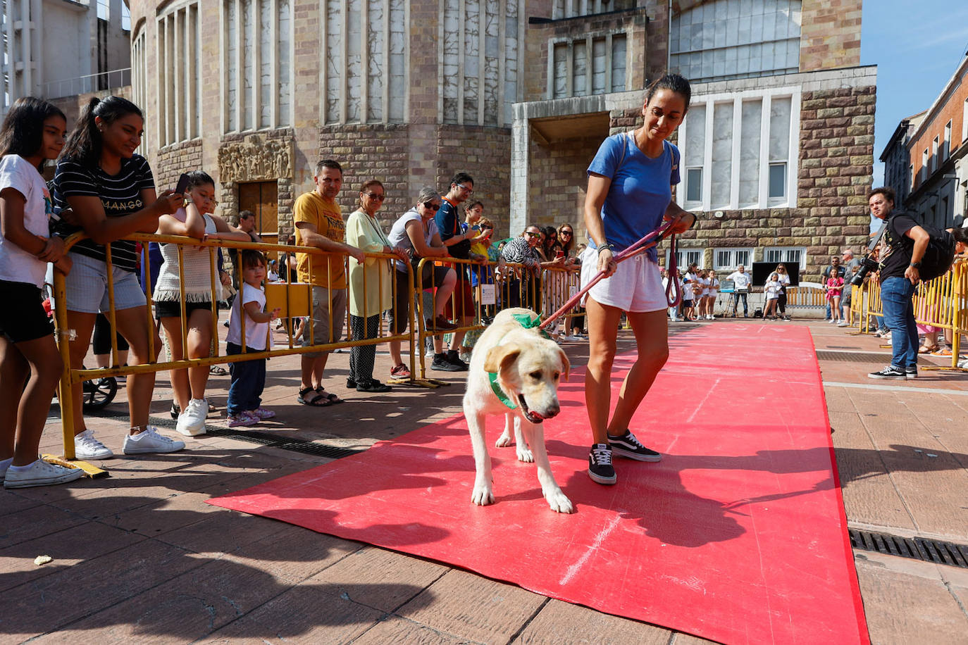 Nieves estaba delgada y triste cuando el Refugio Canino la recogió en la calle, pero ahora es una perra fuerte, sociable, cariñosa, juguetona y agradecida.