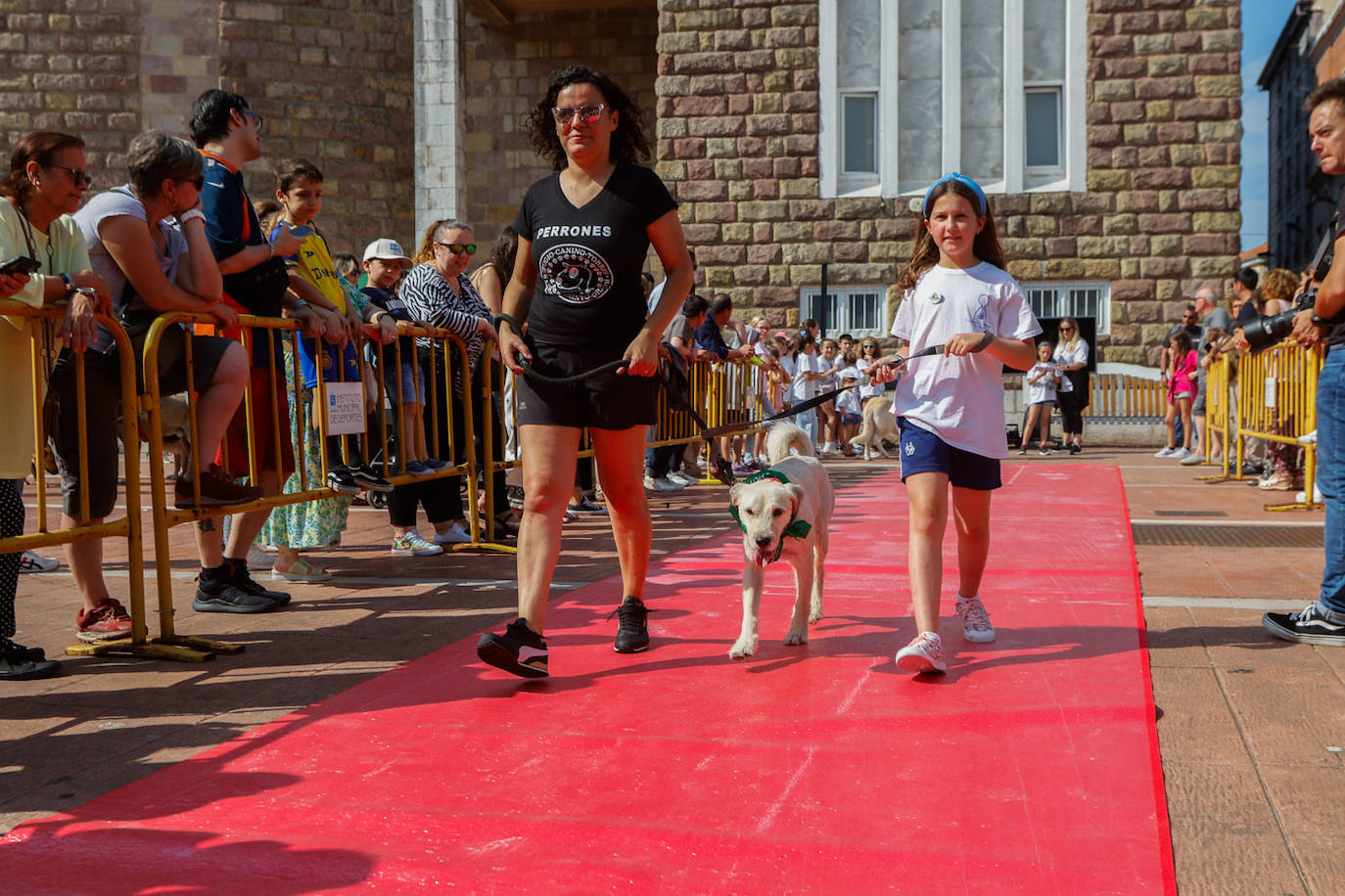 Thor, un amigo de cuatro patas muy cariñoso, es uno de los canes más activos que ha desfilado por la pasarela este jueves. 