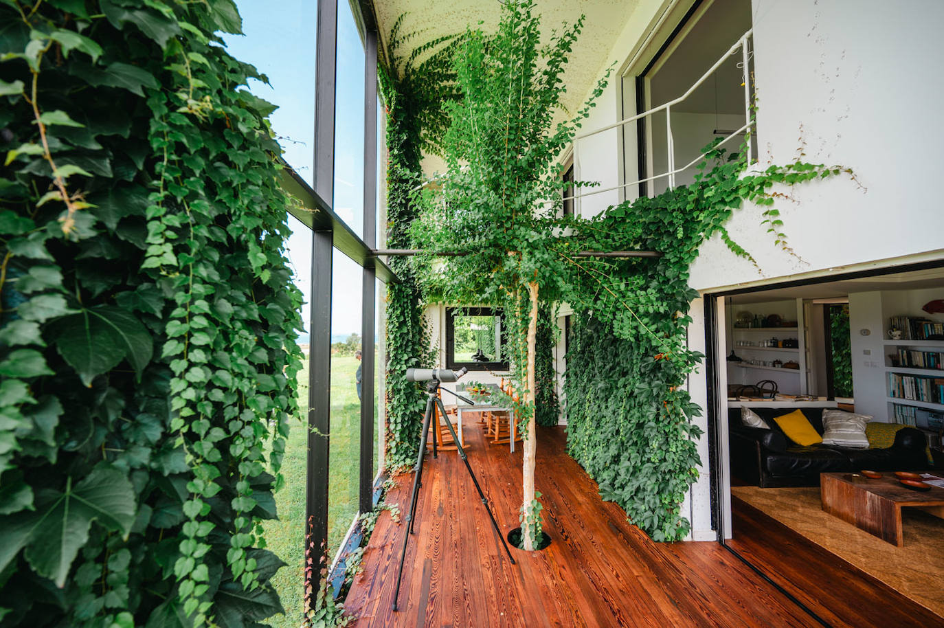 Porche interior de la casa, con un árbol japonés en el centro.