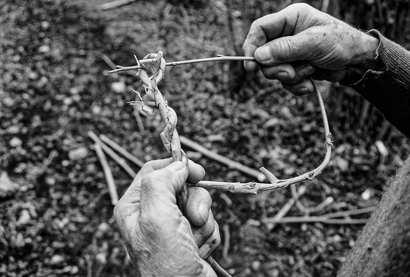 Un hombre trenza ramas para transportar la leña.