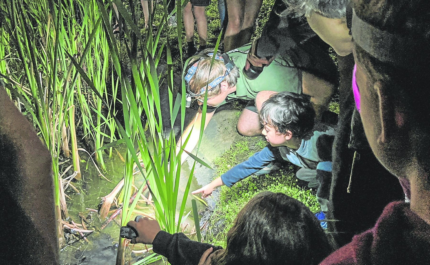 El grupo de participantes en la experiencia, junto al guía, observando la charca.