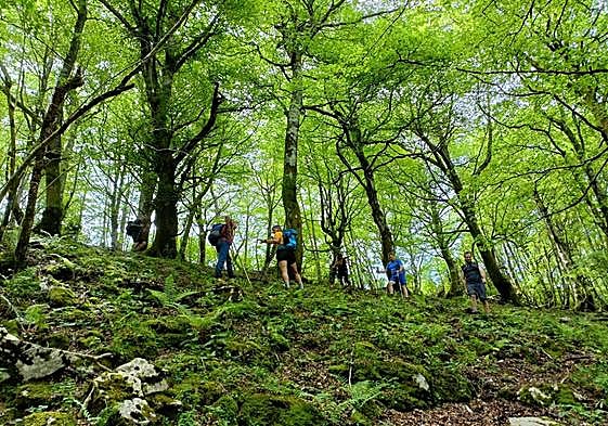 El grupo durante la ruta.
