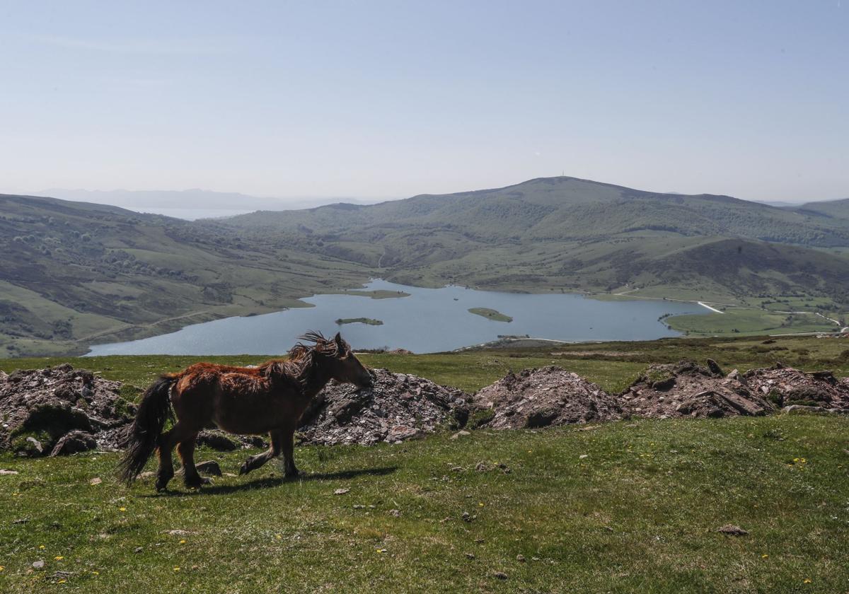 Montes donde se instalarán algunos de los molinos de El Escudo.