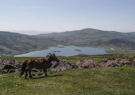 Montes donde se instalarán algunos de los molinos de El Escudo.