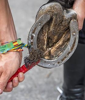 Imagen secundaria 2 - Los policías preparan los caballos antes de empezar a patrullar por La Magdalena.