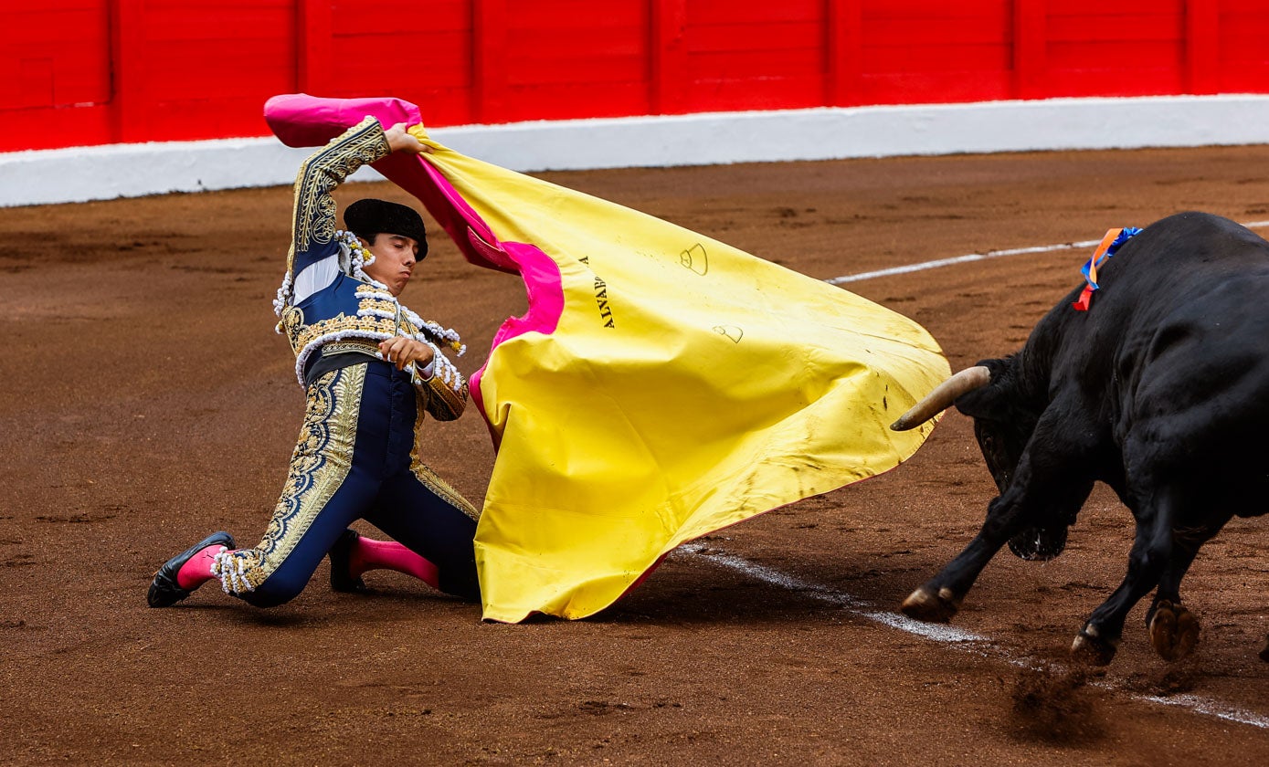 Álvaro Seseña recibe a su primer novillo con una larga cambiada de rodillas.