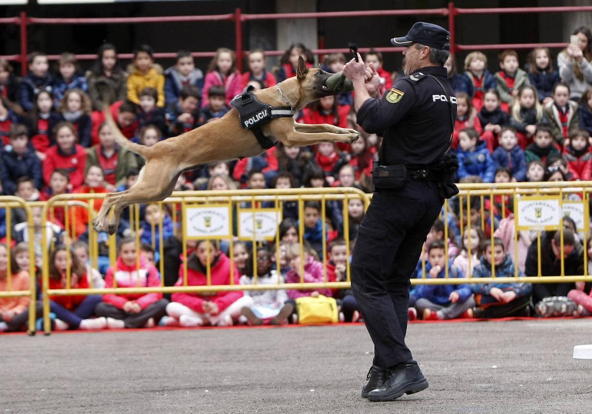 Torrelavega acoge el 6 de agosto una exhibición de perros policía