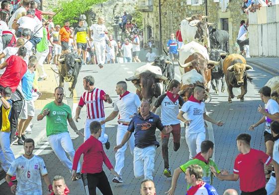 Los encierros de Ampuero volverán a concitar la atención de miles de visitante durante el mes de septiembre.