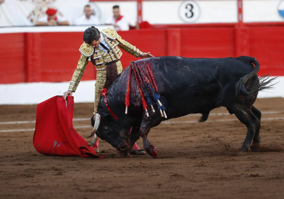 Un par de banderillas y seis mansos 