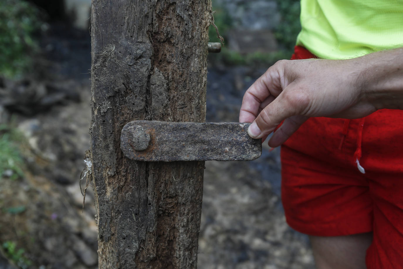 La aldaba que cerró la puerta de la cabaña y atrapó al ganado