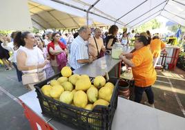 Novales se vuelca con la Asociación Limones Solidarios en un mercadillo.