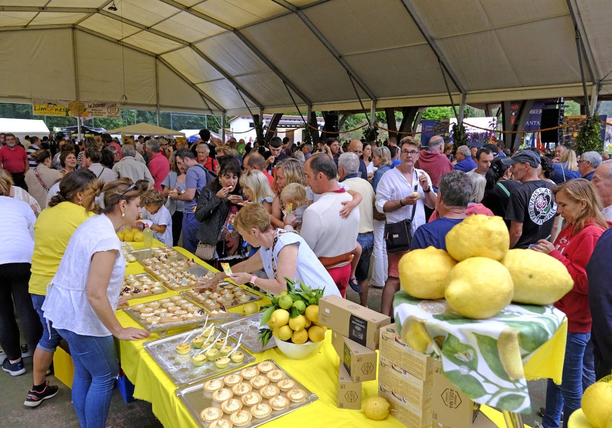 Novales se vuelve amarillo limón en su festival solidario