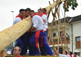 Los mayeros, el pasado 24 de julio, tiran de riñón para 'pinar' la Maya.