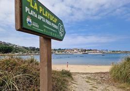 En la playa de La Pozona no hay ningún tipo de restricción para los perros.