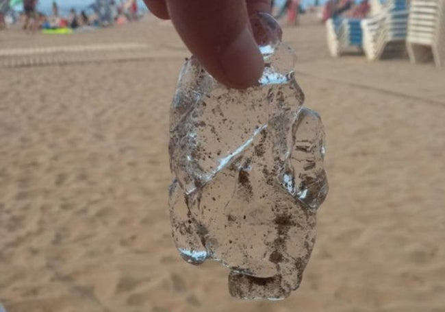 Salpas en playas del Cantábrico.