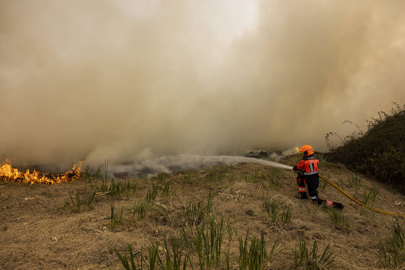 Un bombero ataca uno de los flancos del fuego