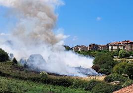 A medida que los bomberos han ido extinguiendo el fuego quedaba al descubierto la vegetación quemada.