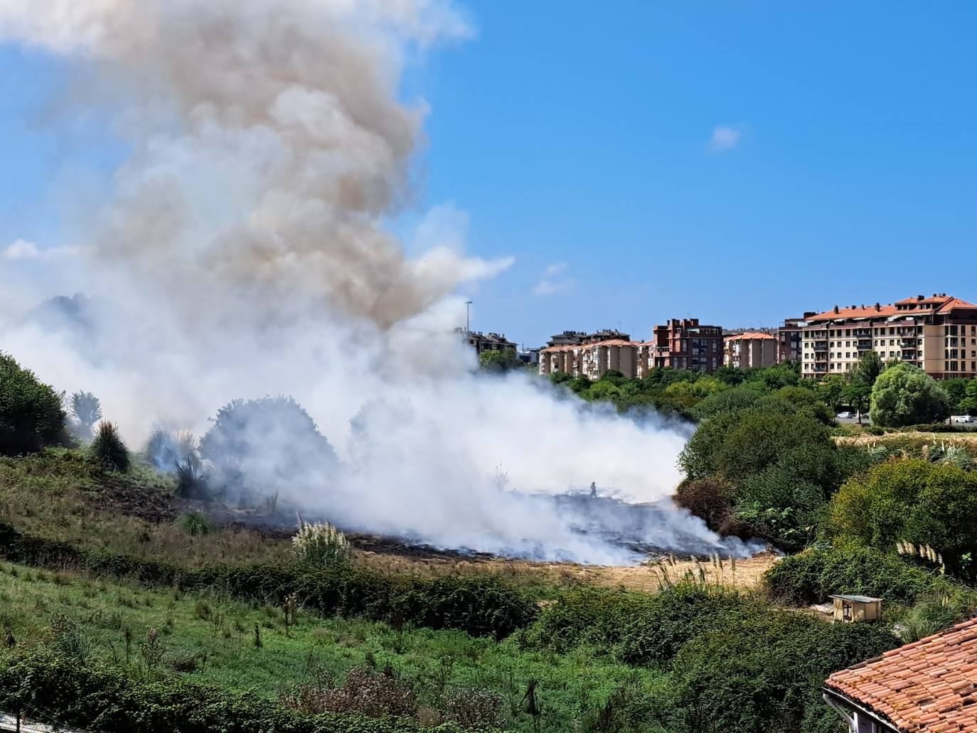 Hay varias casas en la zona, así que la prioridad de los bomberos es que las llamas no las alcancen