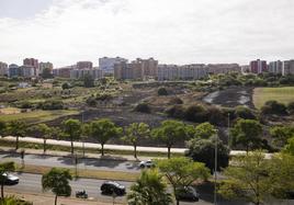 Imagen que presentaba, ayer, el terreno devastado por el fuego.