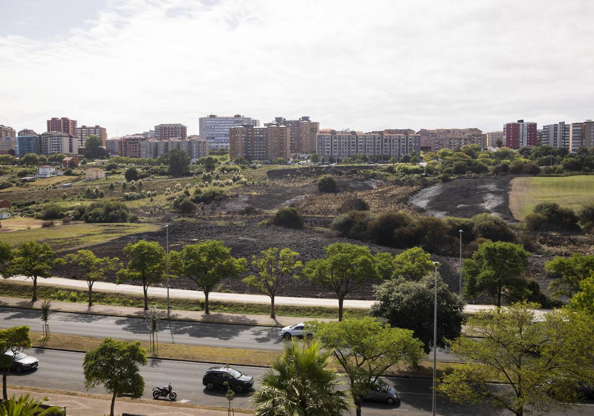 Imagen que presentaba, ayer, el terreno devastado por el fuego.