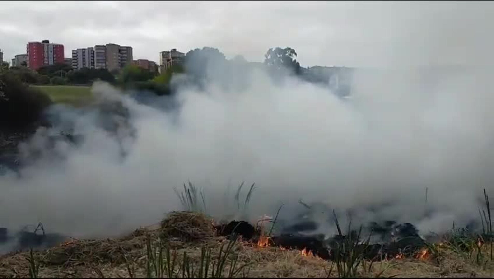 Las Llamas vuelven a arder