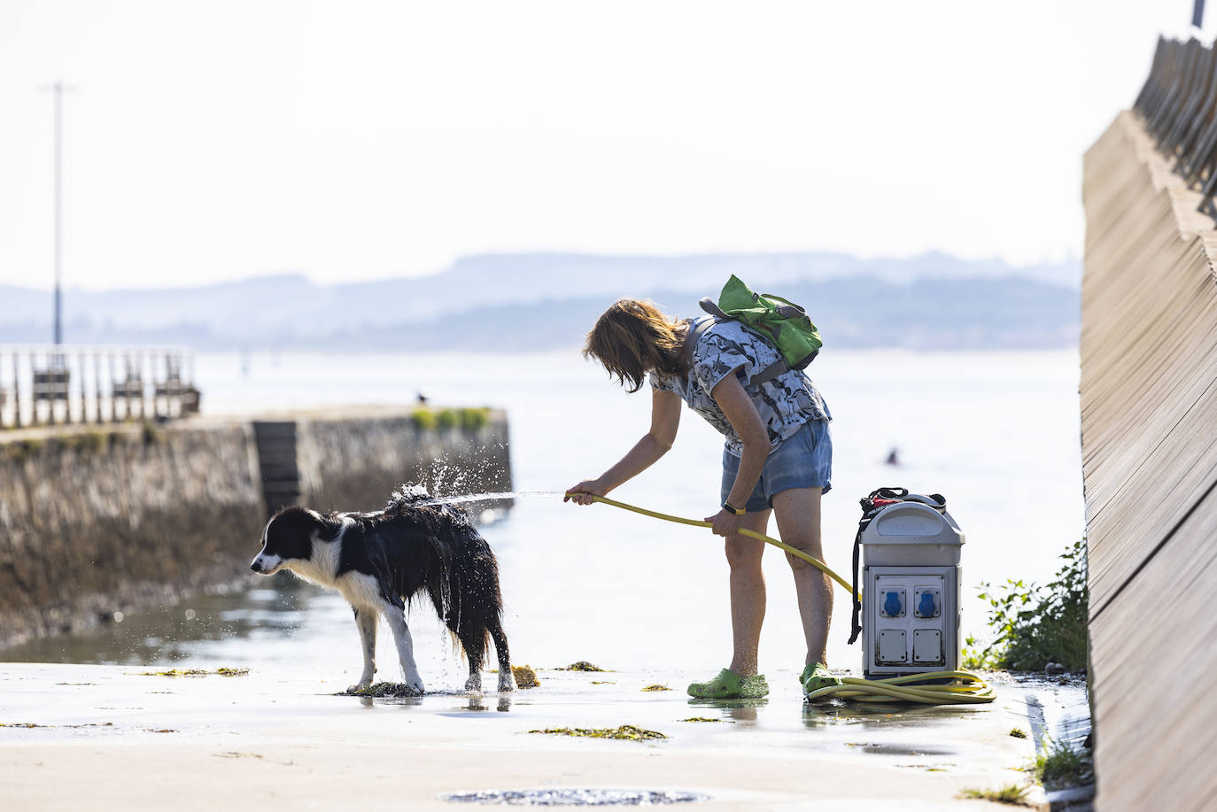 Una mujer refresca a su perro en la zonad e Gamazo