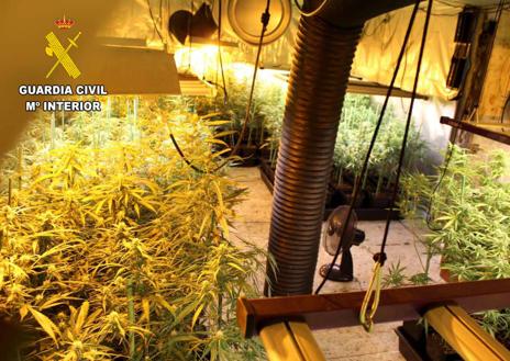 Imagen secundaria 1 - Descubren un cultivo de marihuana con 400 plantas en un sótano de Sierrapando