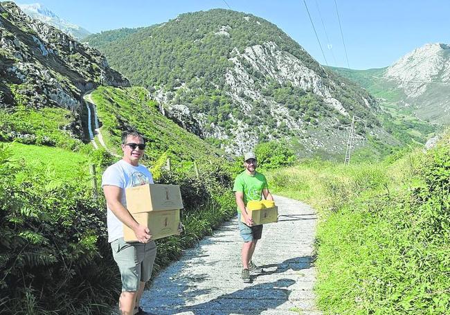 Ambos queseros, en el camino que conduce a la cueva, transportan un lote de una docena de quesos.