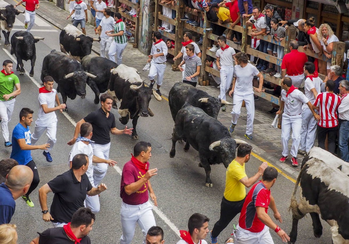 Encierro por las calles de Ampuero en una edición pasada.