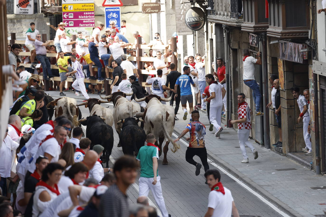 Ya en la vuelta, bravos y mansos se agruparon para protagonizar un encierro más tradicional que puso fin, sin heridos, a las fiestas de la Virgen Niña 2023. 