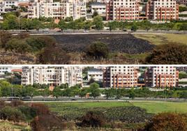 Las Llamas borra la marca del fuego