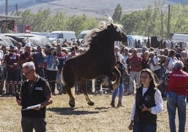 Feria de San Mateo en la edición de 2022.