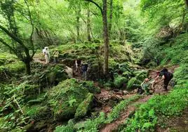 Bosques de Cantabria organiza nuevas salidas al campo este otoño