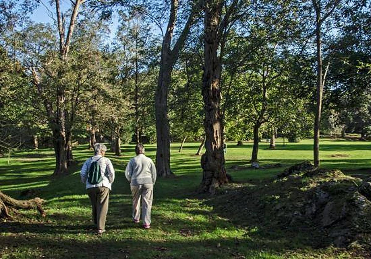 Villaescusa solicita al Ejecutivo reabrir el bar de la Finca de Rosequillo y que cuide los jardines