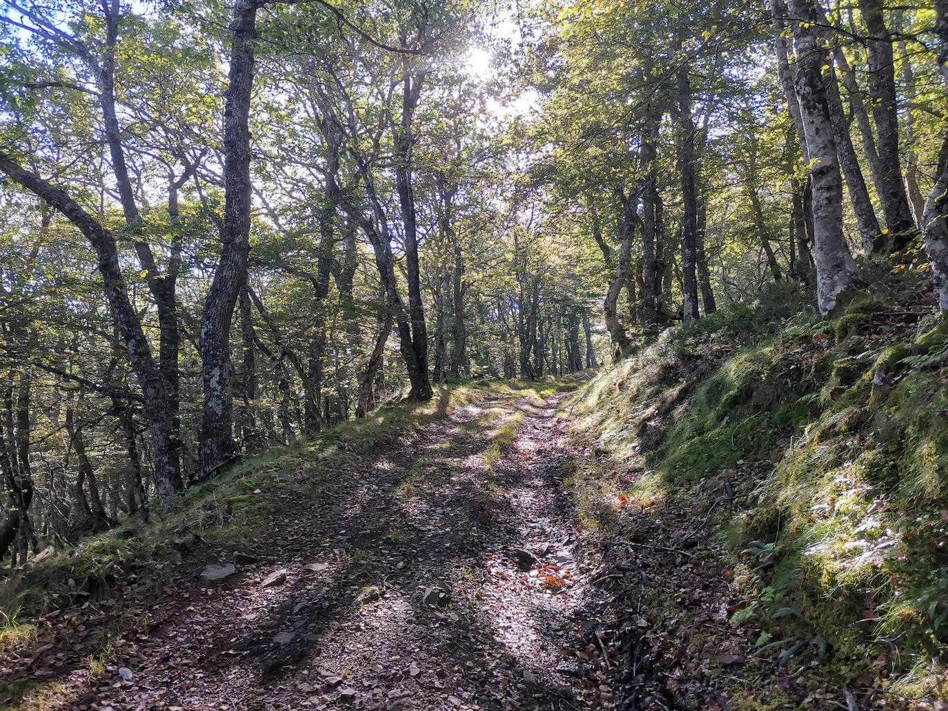 Nos adentramos en el frondoso bosque de Bayatún e iniciamos la ascensión.