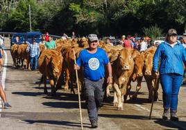 Más de 3.500 ganaderos cántabros recibirán este mes 4 millones de la ayuda por la sequía