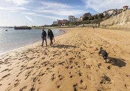 Dos personas pasean con su perro por la nueva playa, que se extiende hasta la rampa que se usó durante el Mundial de Vela (al fondo), en lo que antes era una zona rocosa