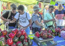 Cada año, Isla celebra varias ferias para promocionar sus productos.