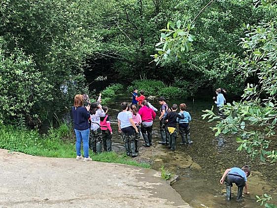 Imagen de archivo de varios escolares en el río.