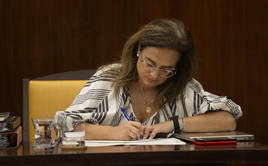 Margarita Rojo, concejala de Medio Ambiente, durante el Pleno extraordinario celebrado este miércoles.