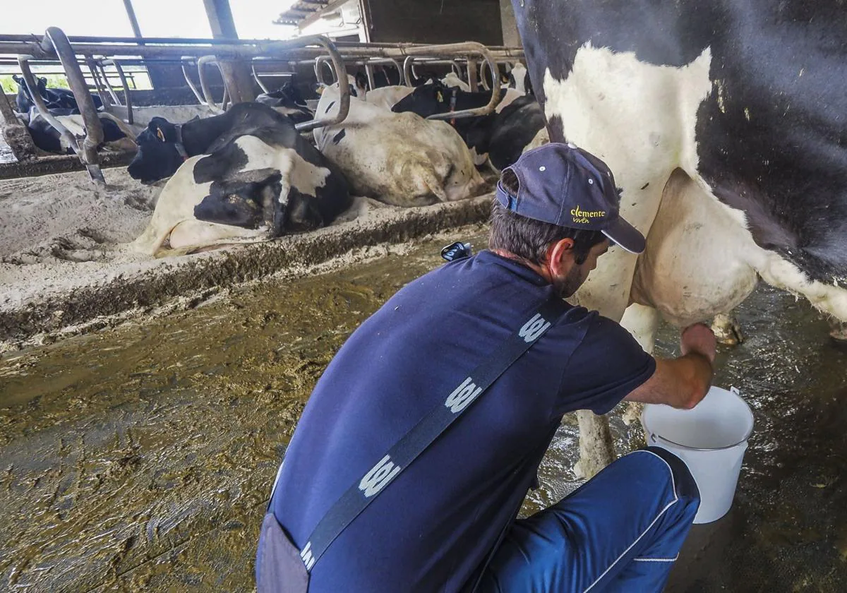 Somos la leche - FORO Asturias