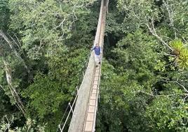 Este puente colgante es el mejor mirador para observar la fauna y flora de la Amazonia