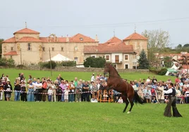 Los únicos caballos que se vieron en la pradera del Convento, normalmente rebosante de ganado en esta fecha, fueron los del espectáculo ecuestre.