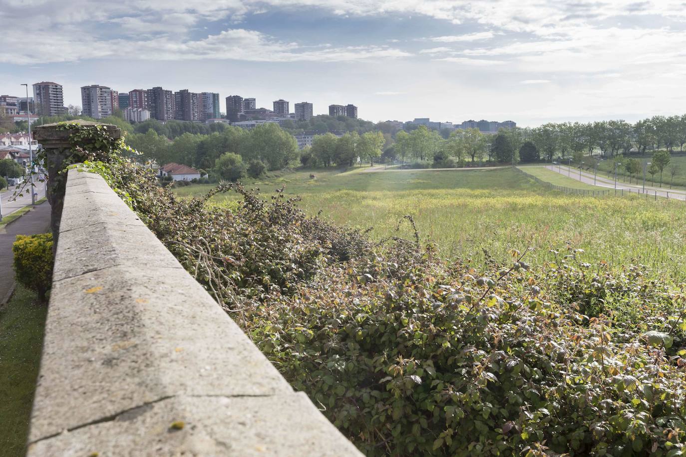 La Remonta. En este área también se restaurará el suelo y la vegetación, a la par que se eliminarán las especies invasoras. La actuación en esta zona está prevista para el próximo verano