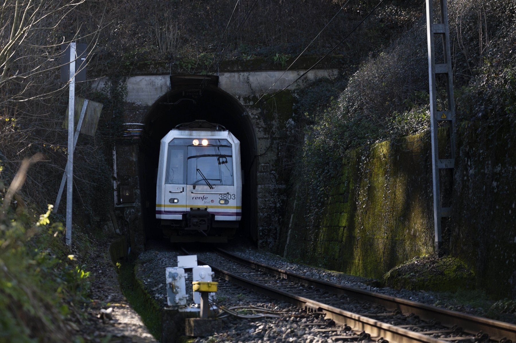 Un tren de Cercanías circula por la estación de la localidad cántabra de Virgen de la Peña.