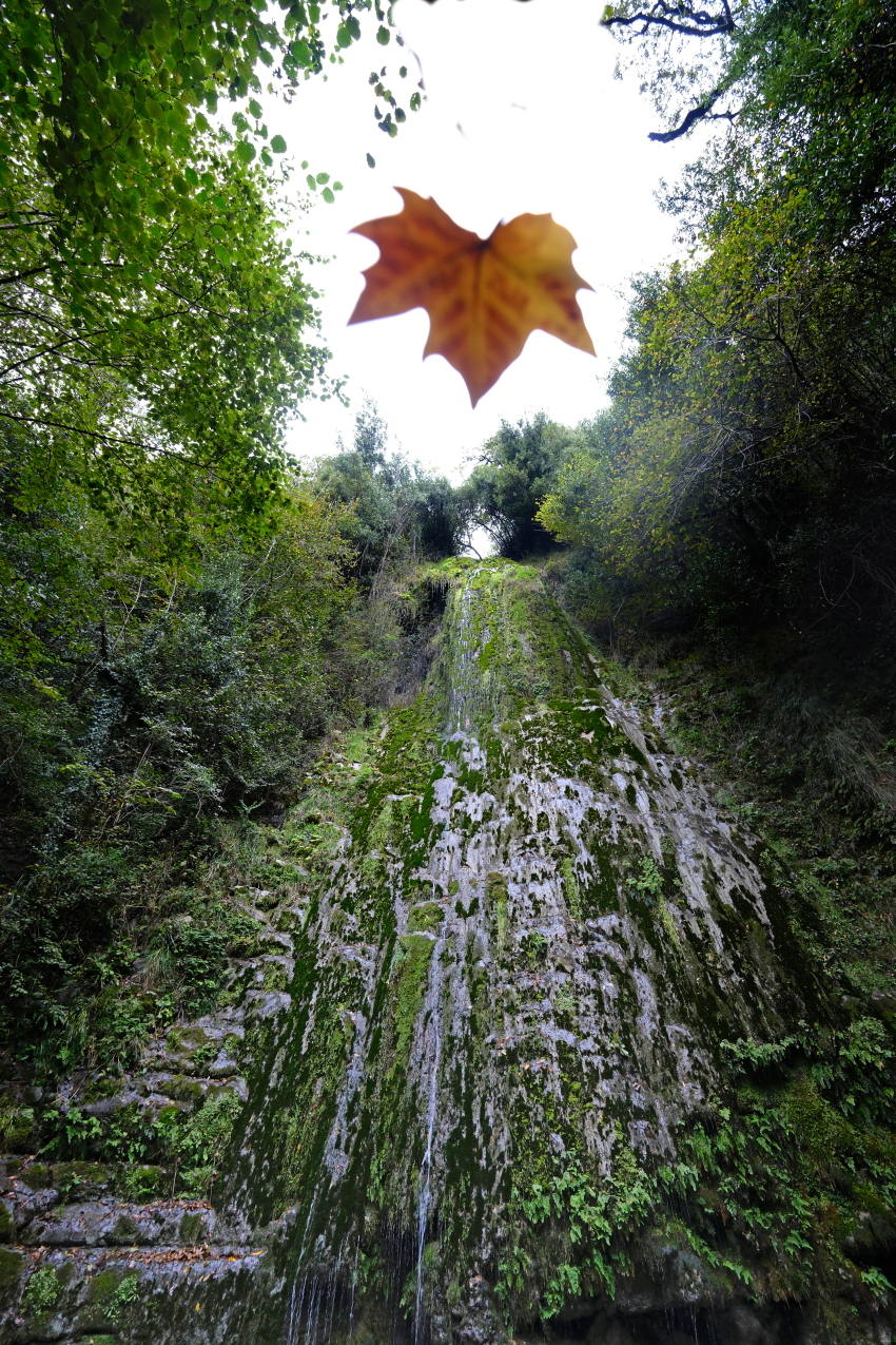 Tras visitar ambos churrones, sólo queda regresar hacia Borleña. Primero, cruzando el bonito avellanar, y luego a lo largo de la pista forestal que, sin pérdida, nos dejará nuevamente en Borleña, dando por finalizada la ruta.