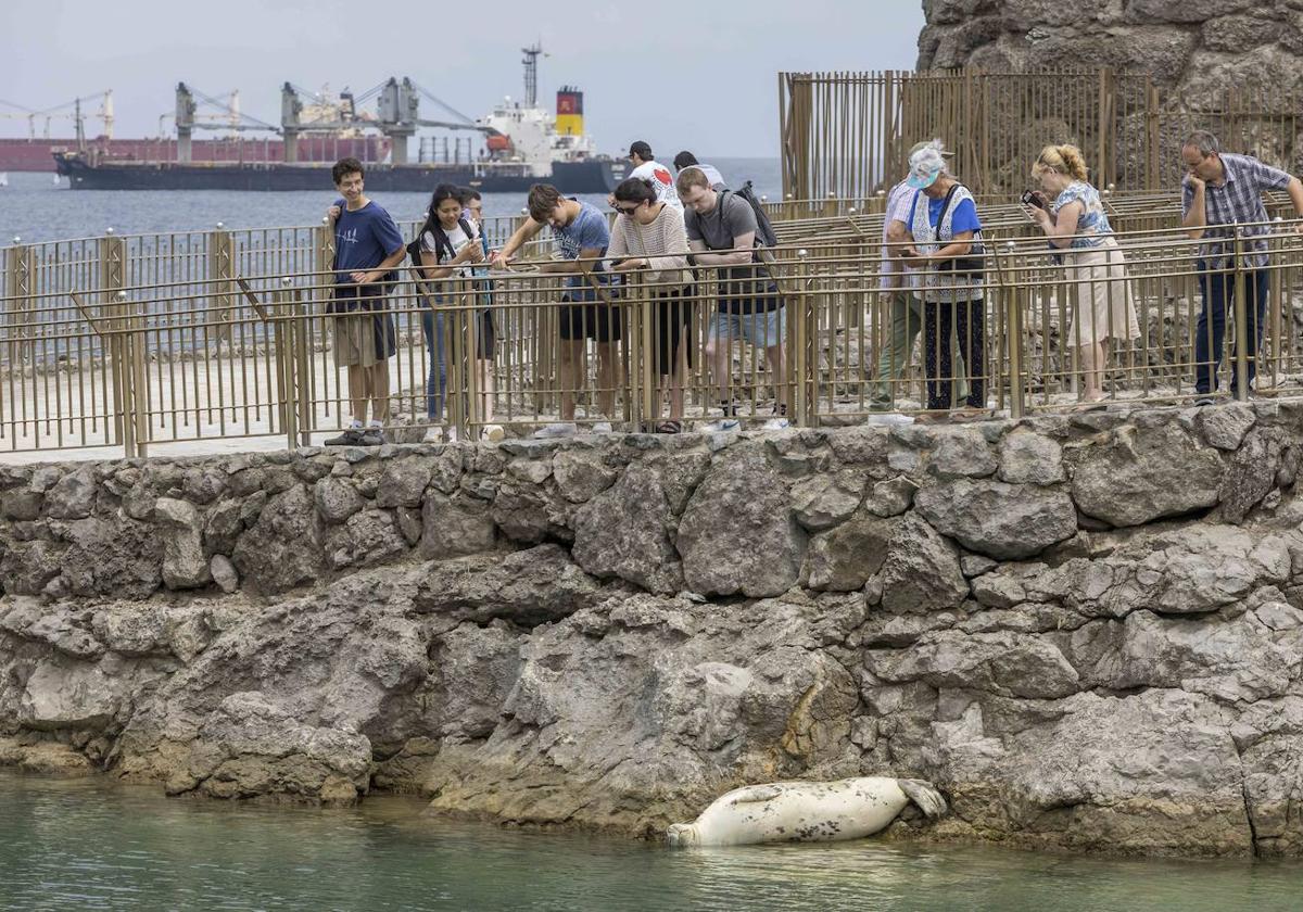 Turistas el pasado junio en el Zoo de la Magdalena.