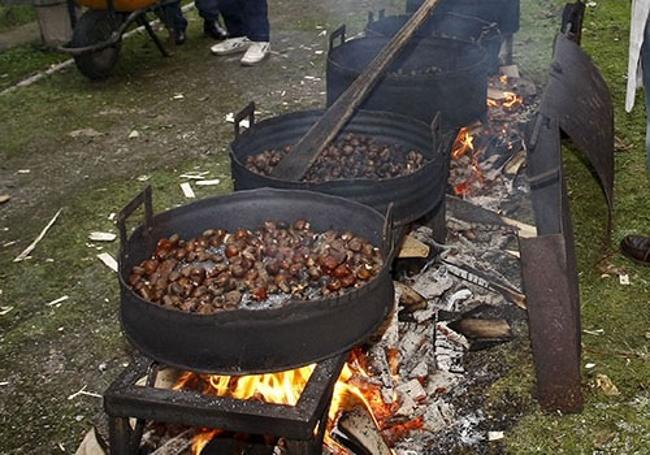 Magosta de castañas asadas.