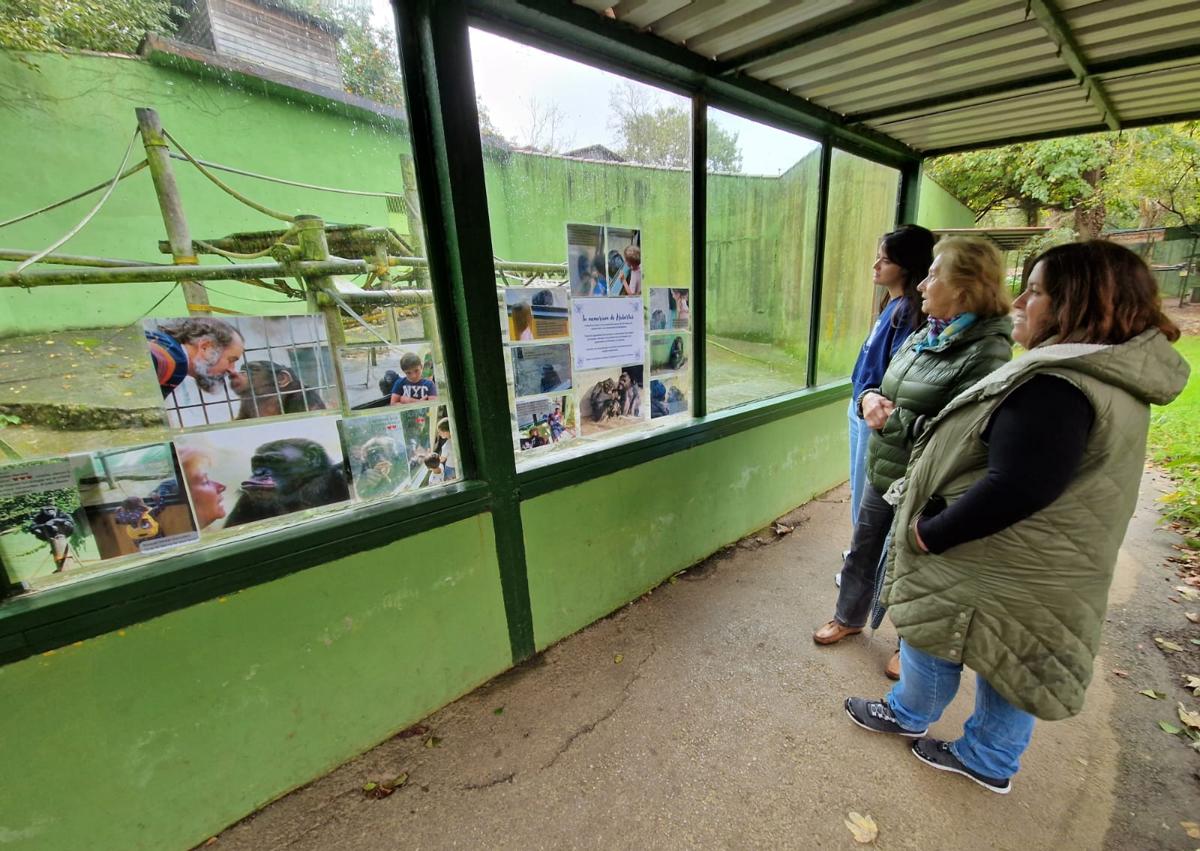 Imagen secundaria 1 - En el lugar donde estaba Hubert han colocado fotografías. A la izquierda, una imagen de Hubert.